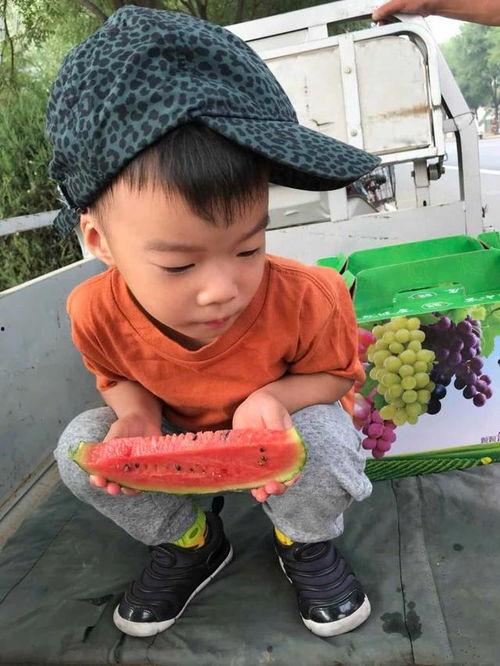 蹲蹲吃瓜,揭秘网络热词背后的趣味与现象
