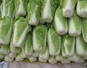 会吃瓜的白菜,揭秘娱乐圈的幕后故事