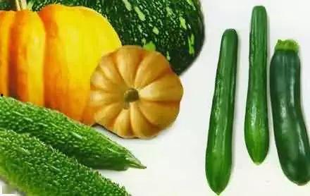 嬉戏吃瓜,瓜田里的人生百态