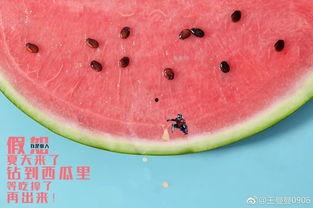 这才是吃瓜最高境界