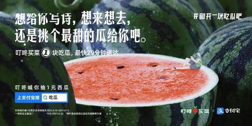 吃瓜节文案,揭秘吃瓜节的独特魅力与精彩瞬间