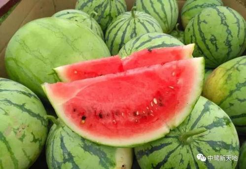 浪2吃瓜,揭秘娱乐圈最新热点事件