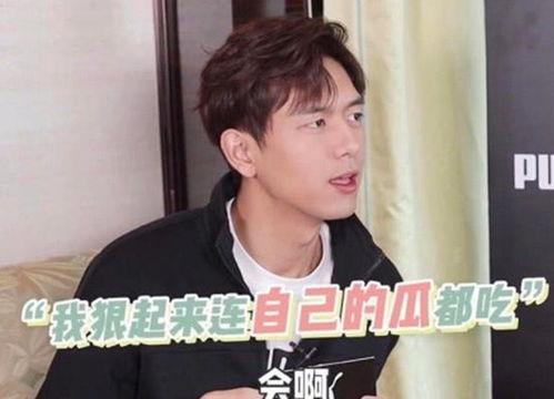 吃瓜李动画,动画中的欢乐喜剧之旅