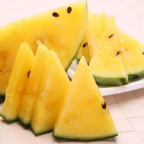 子瓜一可以加热吃吗,揭秘可加热食用的神奇食材