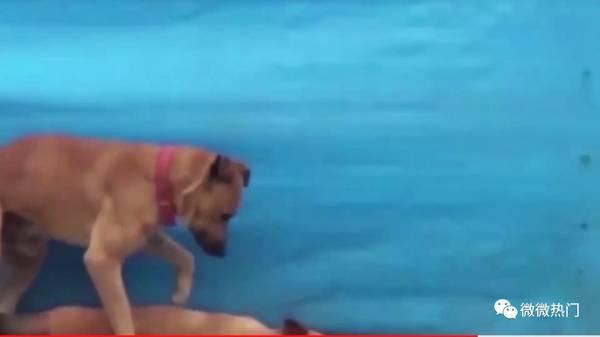 见死不救吃瓜,吃瓜群众如何自省与行动