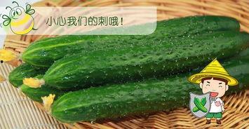 吃瓜怎么配工具,揭秘如何用工具轻松享受美食时光